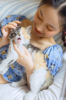 爱情公寓网站